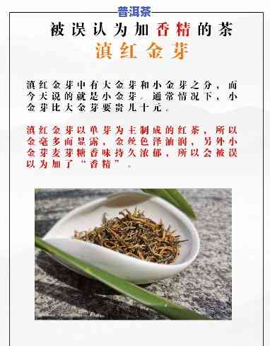 金芽贡茶普洱茶知识，深入熟悉金芽贡茶普洱茶：知识大揭秘