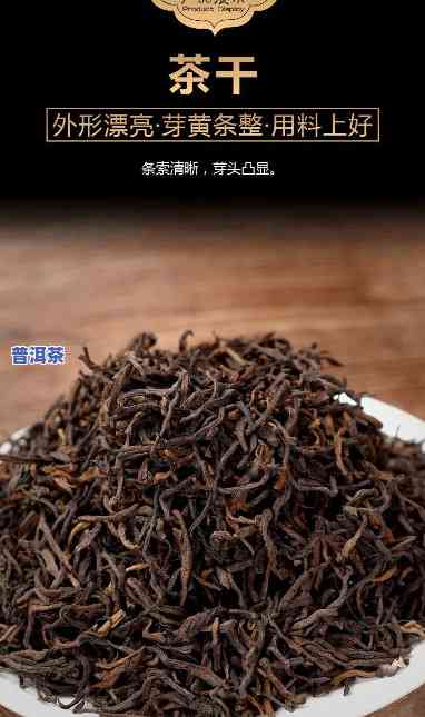 金芽贡茶普洱茶知识，深入熟悉金芽贡茶普洱茶：知识大揭秘