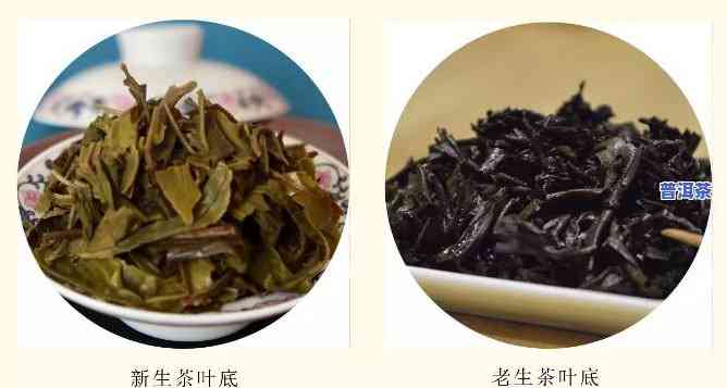 普洱茶怎么样看是不是新茶呢，怎样鉴别普洱茶是不是为新茶？