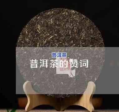 古代赞美普洱茶的词-古代赞美普洱茶的词语