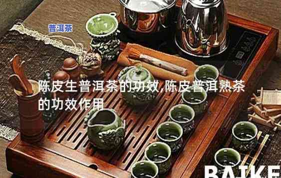 陈生普洱茶加盟流程及功效全解析