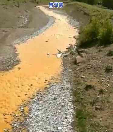 泡普洱茶浑浊怎么办呀视频-泡普洱茶浑浊怎么办呀视频讲解