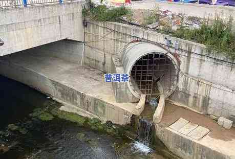 泡普洱茶浑浊怎么办呀视频-泡普洱茶浑浊怎么办呀视频讲解