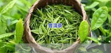 哈尼王子茶价格，探究哈尼王子茶的价格：一份详尽的市场分析