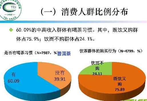 普洱茶消费群体分析论文，深入解析：普洱茶的消费者群体特征与表现模式研究