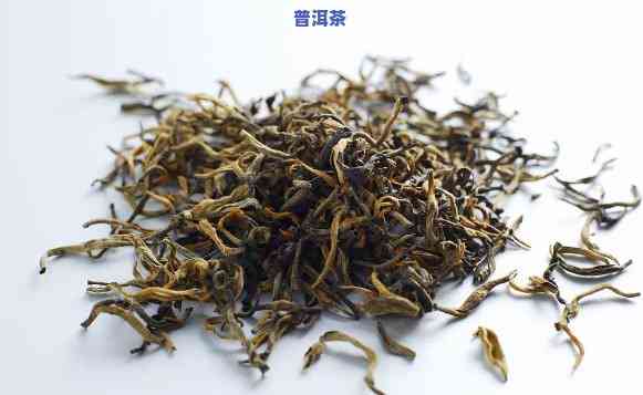 详解普洱茶：最全面、最权威的茶叶指南