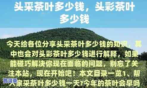 普洱茶头采和二采价格区别大吗，普洱茶头采与二采：价格有何差异？