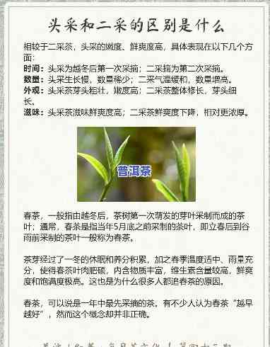 头采茶和二采茶外观区别，探索茶叶的奥秘：头采茶与二采茶的外观差异解析