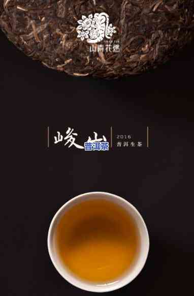 云南山青花燃茶业官网：熟悉山青花燃茶报价及公司信息