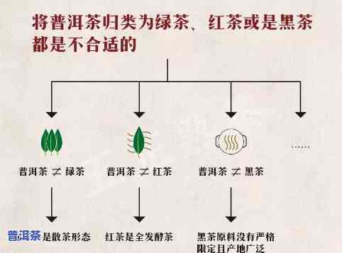 红丝带普洱茶生茶：特点与分类全解析