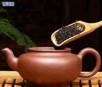 普洱紫砂壶适合泡什么茶？探讨其更佳搭配与冲泡技巧