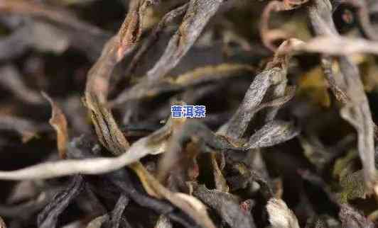 普洱茶的口感与分析-普洱茶的口感与分析论文