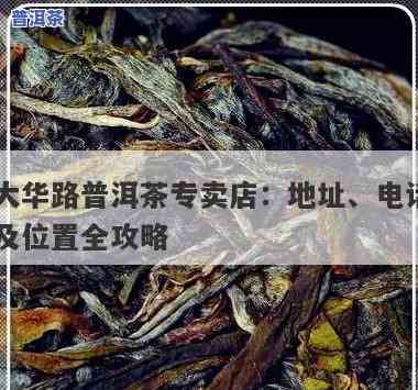 大连普洱茶专卖店地址查询：在哪里可以购买到优质的普洱茶？