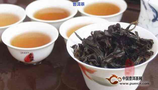 大红袍与古树茶：外观上的明显区别