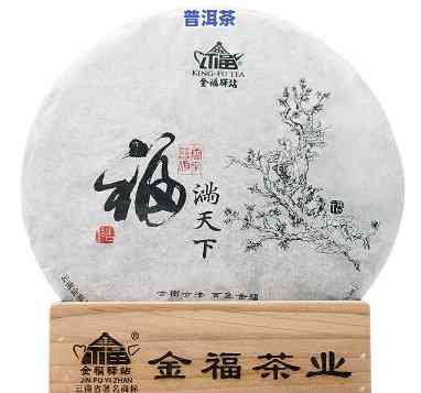 普洱金福茶业普洱茶直播间-普洱金福茶厂