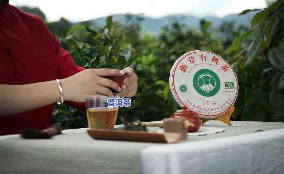 普洱金福茶业普洱茶直播间-普洱金福茶厂