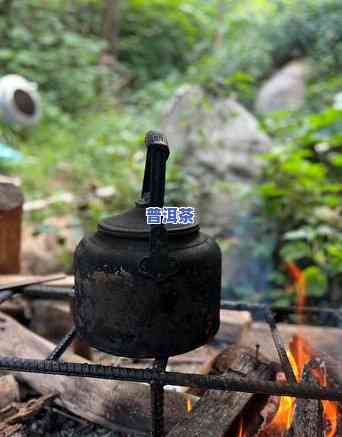 普洱茶专卖店装修图片，欣赏精美普洱茶专卖店装修图片，品味茶文化的特别魅力！