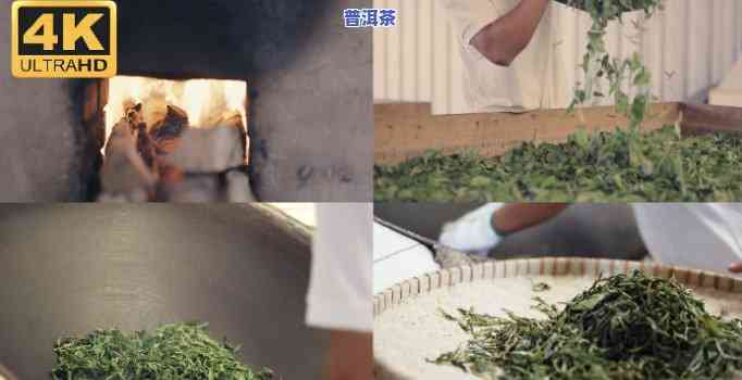 普洱茶电动杀青锅杀青方法-普洱茶电动杀青锅杀青方法视频