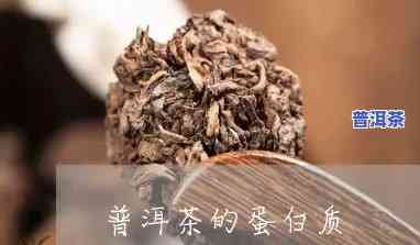 普洱茶有蛋白质吗，探究普洱茶的营养成分：它含有蛋白质吗？