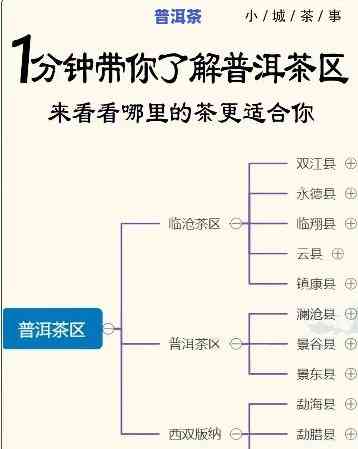 云南昆明普洱茶场：位置、种类全面解析