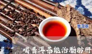 脂肪肝能喝生熟普洱茶水吗？专家解析