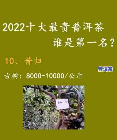 普洱茶排行榜大全：口碑更佳的十大及价格一览