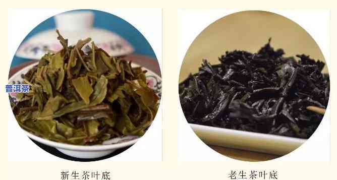 普洱茶叶的颜色，探究普洱茶叶的色泽之美：从新茶到老茶的变化过程