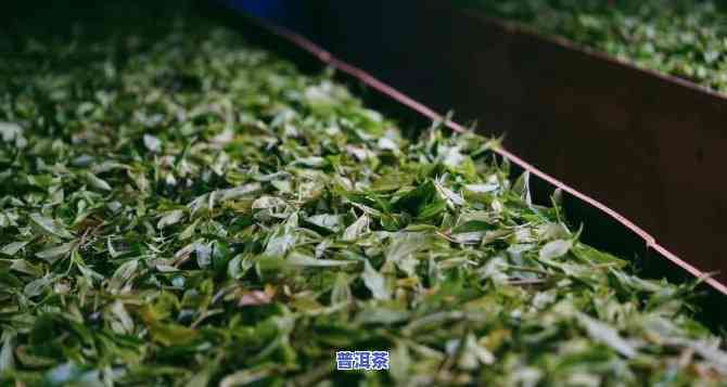 大量收购茶叶普洱茶是不是违法？可能被判几年徒刑？