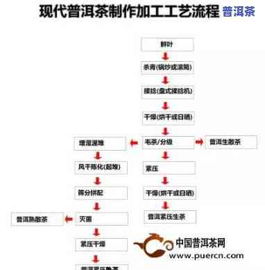 江苏普洱茶加盟流程图详解及图片大全