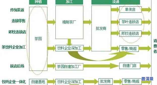 普洱茶种植加工商是什么，探究普洱茶产业链中的种植与加工环节：普洱茶种植加工商的角色与作用