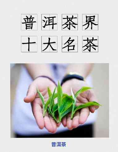 普洱茶在云南的外号是什么-普洱茶在云南的外号是什么名字