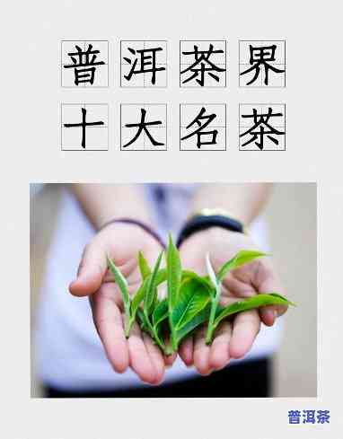 普洱茶在云南的外号叫什么-普洱茶在云南的外号叫什么名字