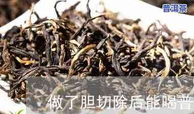 胆囊切除后能否喝普洱茶？女性适用吗？