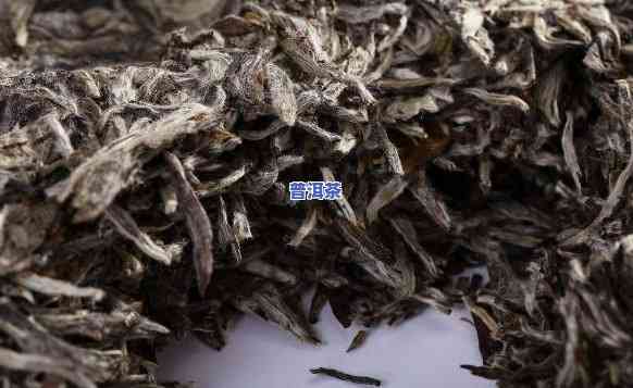 白龙须普洱茶的价值是什么-白龙须普洱茶的价值是什么呢