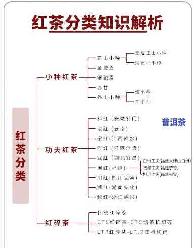 滇红茶的种类和价格表，探索滇红茶的世界：种类与价格全揭秘