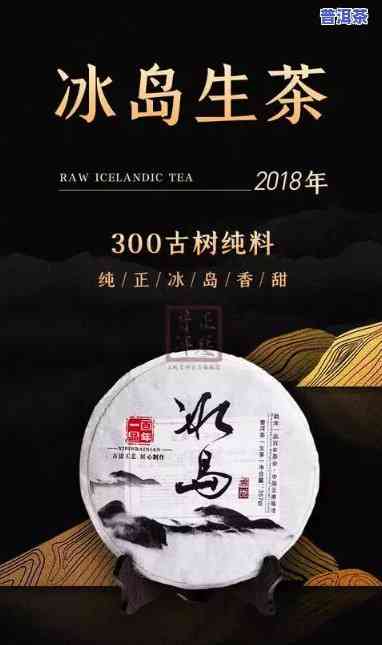 深入探索冰岛普洱茶的味道与特点