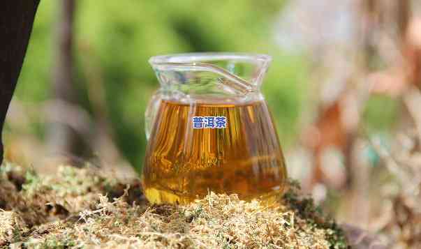 普洱茶有甜味是怎么回事？探究其来源与作用因素