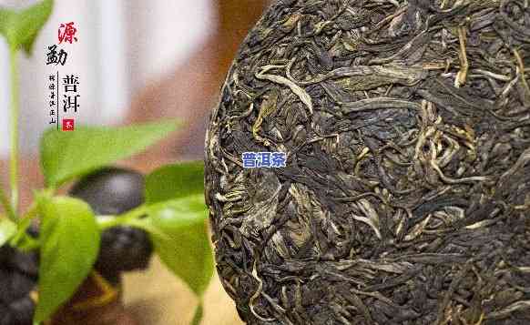 云南金腾普洱茶怎么样，深度解析：云南金腾普洱茶的品质与口感怎样？