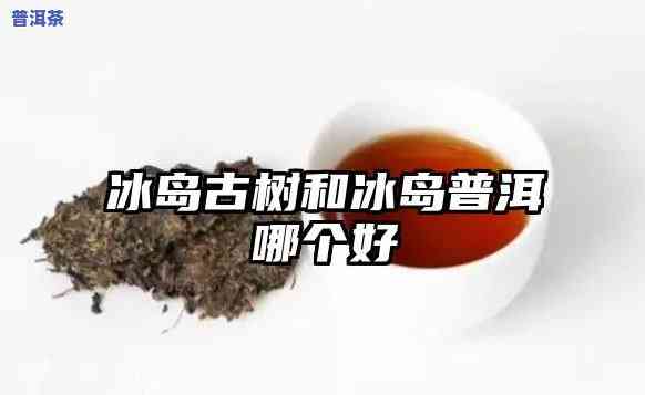 大益和冰岛普洱哪个好，口感对决：大益与冰岛普洱，谁更胜一筹？