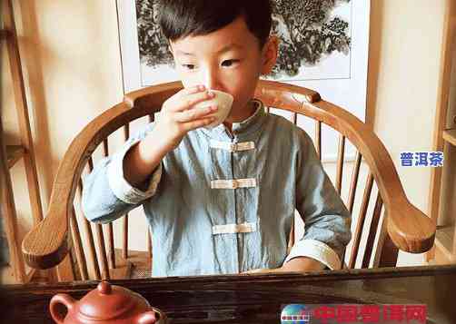 幼童可以喝普洱茶吗？探讨3岁以下儿童饮用普洱茶的安全性和适宜性