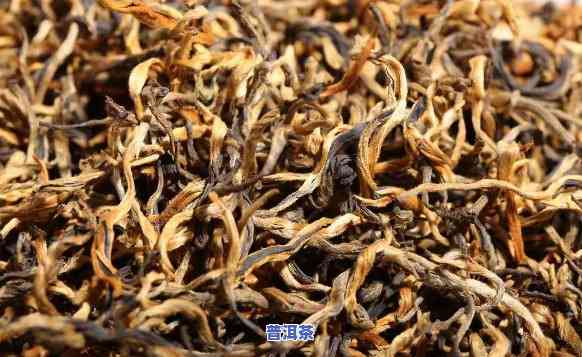 云南滇红是红茶还是绿茶，揭秘云南滇红：它是红茶还是绿茶？