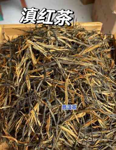 滇红：红茶还是绿茶？口感怎样比较？