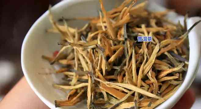 滇红茶叶是什么茶？详解其类别与品种