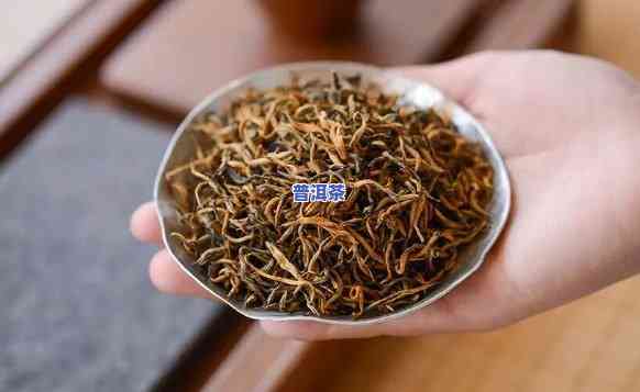 滇红茶叶是什么茶？详解其类别与品种