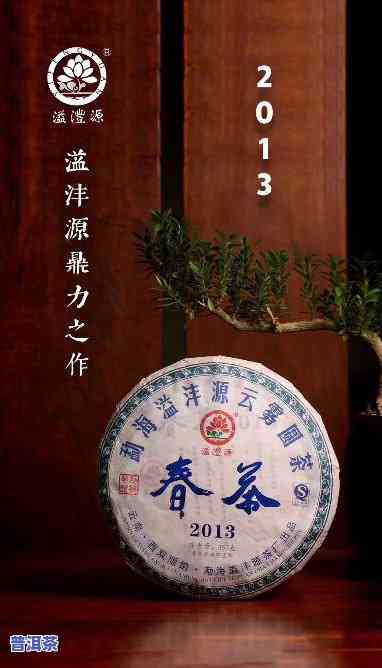 益沣源普洱茶2013春茶-溢沣源普洱茶