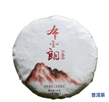 茶叶布朗山普洱茶多少钱，揭秘茶叶布朗山普洱茶价格，你需要知道的一切