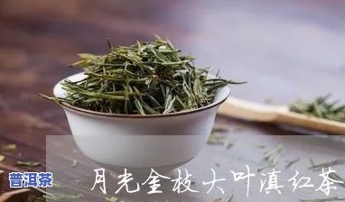 月光金枝是好茶吗，月光金枝：一种优质的茶叶吗？