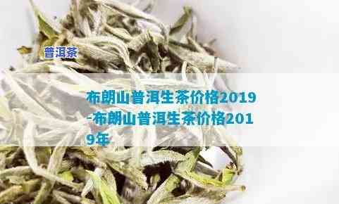 2019年南糯山普洱生茶的价格，揭秘2019年南糯山普洱生茶价格，熟悉其市场价值与收藏潜力！