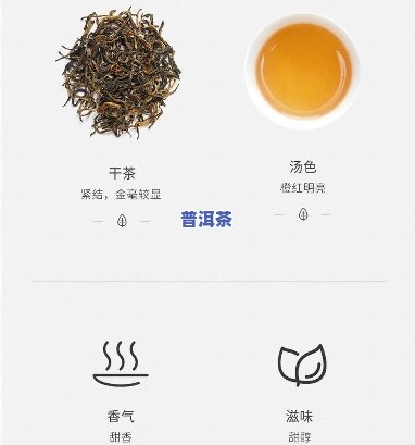 冰岛古树纯料普洱茶价格表-冰岛古树纯料普洱茶价格表及图片