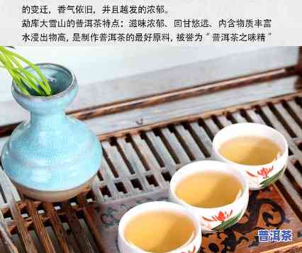 勐栈大先生的普洱茶怎么样-勐栈大先生的普洱茶怎么样好喝吗